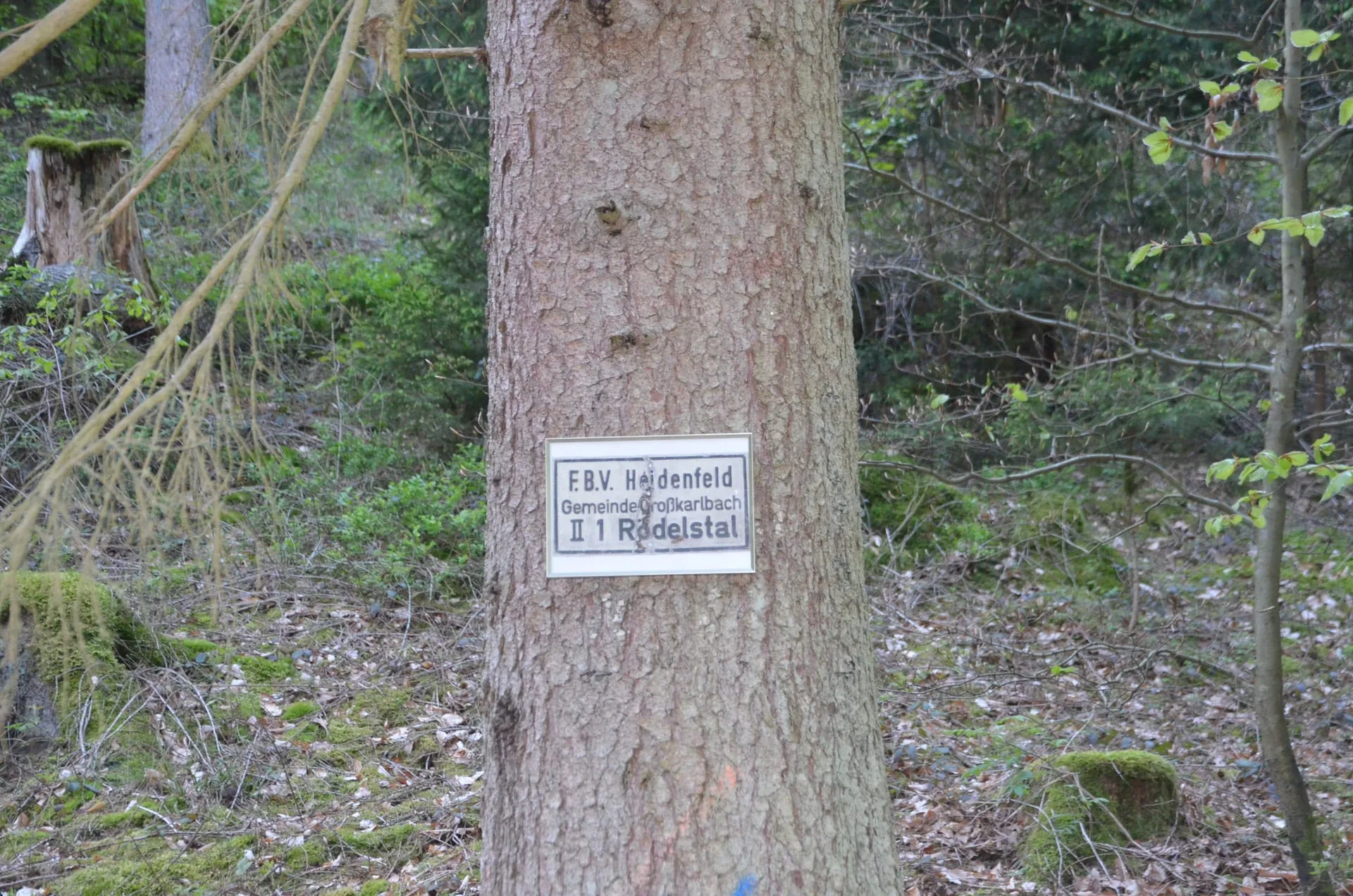 Waldfest Großkarlbach — Bild 4