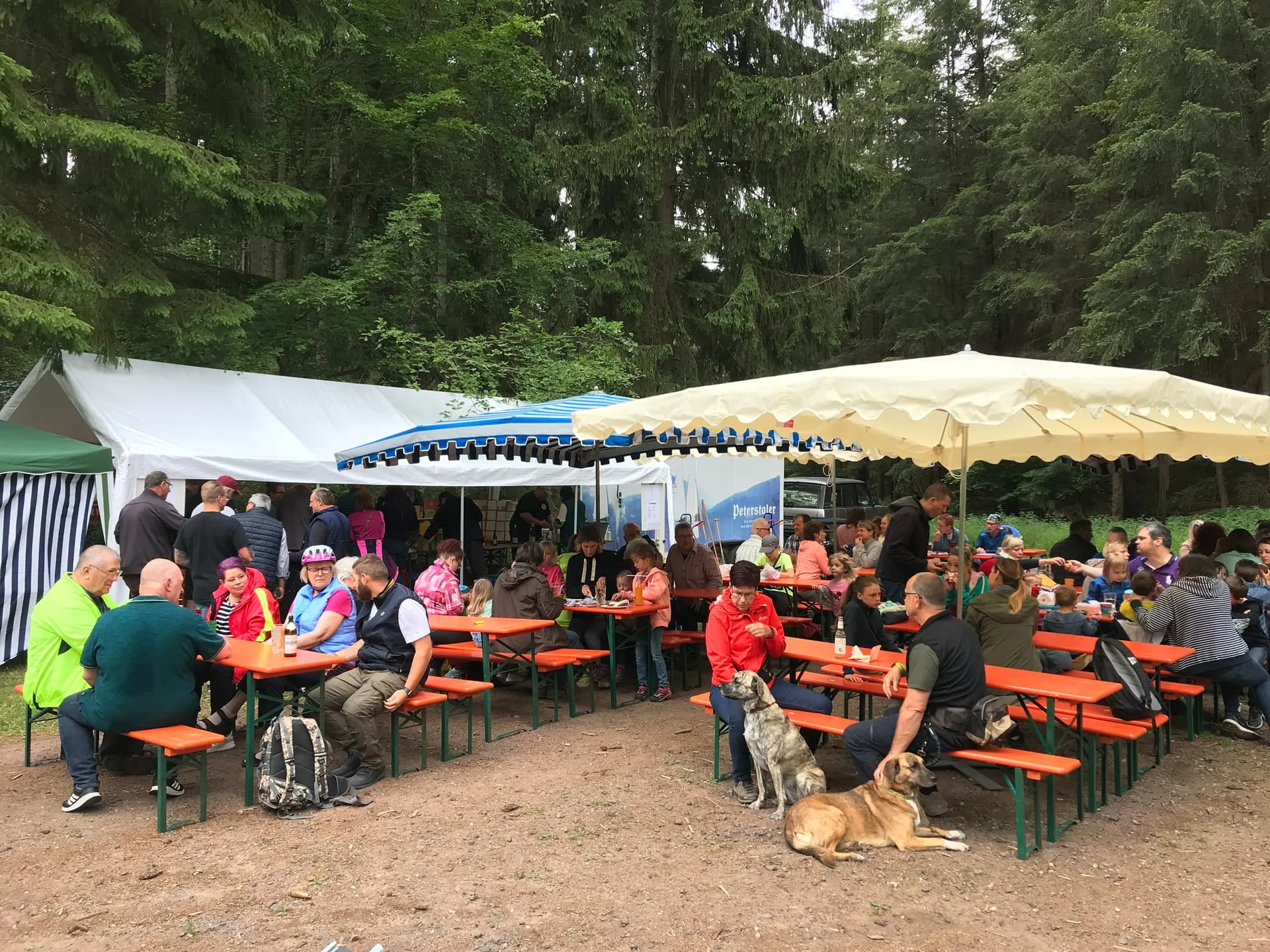 Waldfest Großkarlbach — Bild 8