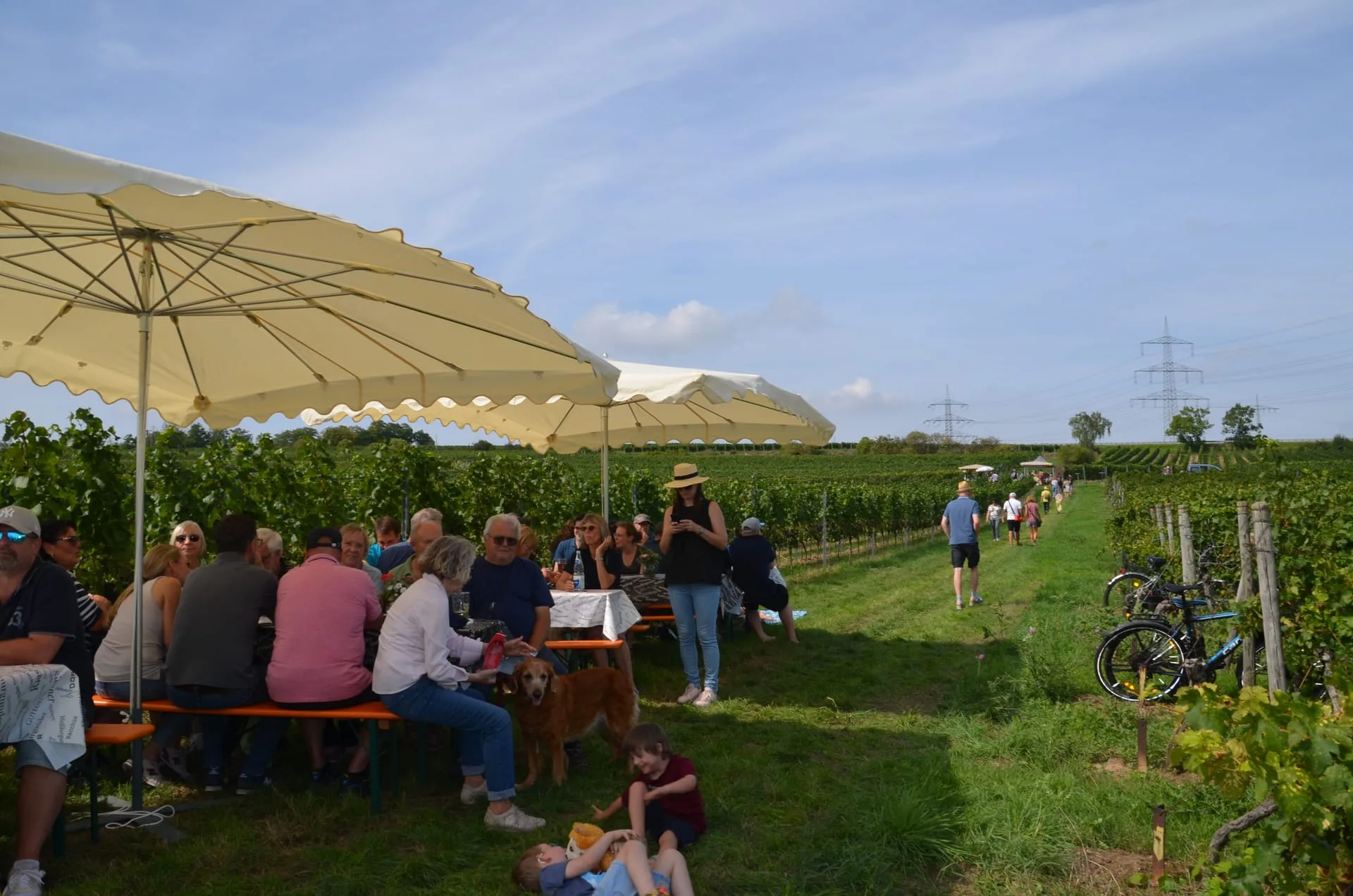 Weinwanderung Großkarlbach — Bild 2