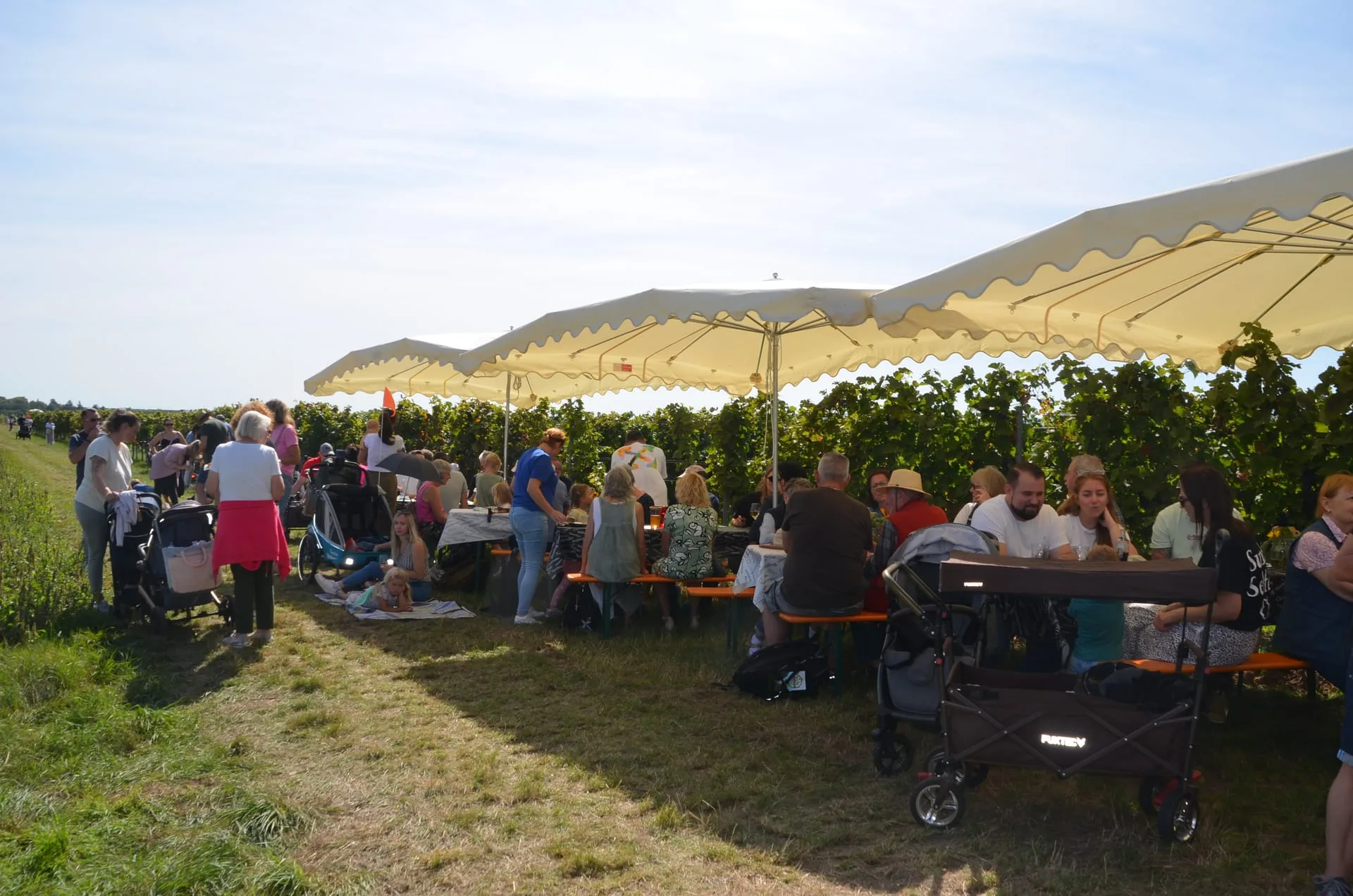 Weinwanderung Großkarlbach — Bild 5
