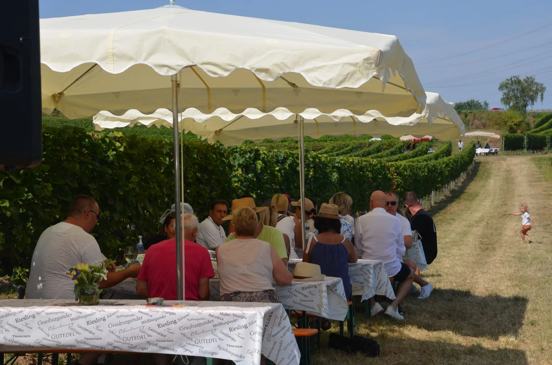 Weinwanderung Großkarlbach — Bild 8