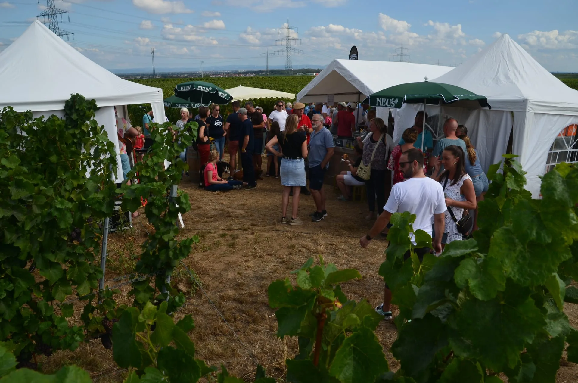 Weinwanderung Großkarlbach — Bild 14