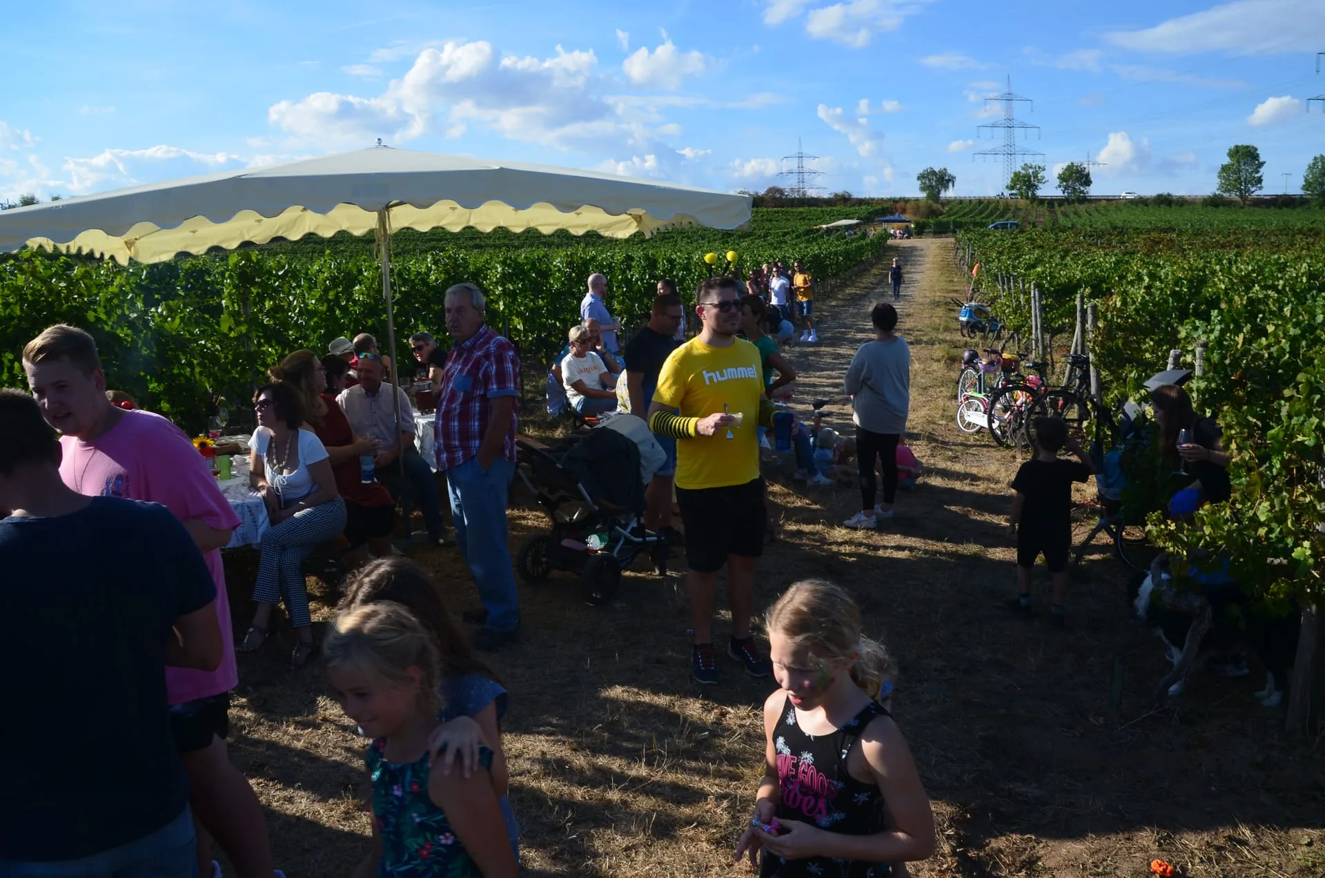 Weinwanderung Großkarlbach — Bild 15